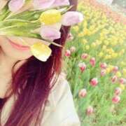 ヒメ日記 2025/04/11 20:18 投稿 かなで 厚木人妻城