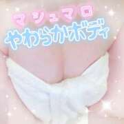 ヒメ日記 2026/02/03 00:57 投稿 るい One More 奥様　五反田店