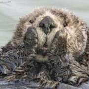 ヒメ日記 2025/03/29 09:04 投稿 小島こころ 厚木OL委員会