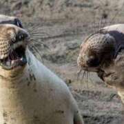 ヒメ日記 2025/05/29 22:23 投稿 小島こころ 厚木OL委員会