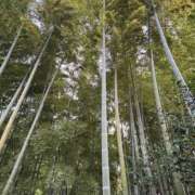 ヒメ日記 2025/09/26 09:04 投稿 小島こころ 厚木OL委員会