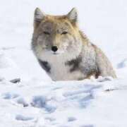 ヒメ日記 2026/01/09 11:33 投稿 小島こころ 厚木OL委員会