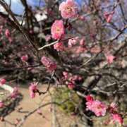 ヒメ日記 2026/01/27 08:53 投稿 小島こころ 厚木OL委員会