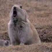 ヒメ日記 2026/02/03 10:43 投稿 小島こころ 厚木OL委員会