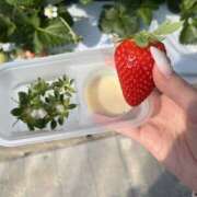 ヒメ日記 2026/02/12 21:53 投稿 小島こころ 厚木OL委員会