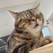 ヒメ日記 2026/03/03 16:23 投稿 小島こころ 厚木OL委員会