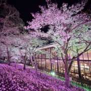 ヒメ日記 2026/04/07 22:23 投稿 小島こころ 厚木OL委員会