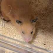 ヒメ日記 2025/10/05 12:22 投稿 にな マリン千葉店