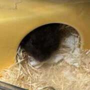 ヒメ日記 2025/11/05 10:31 投稿 にな マリン千葉店