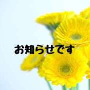 ヒメ日記 2025/03/01 16:03 投稿 カオルコ キャンディ(鹿児島)