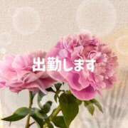 ヒメ日記 2025/08/10 20:09 投稿 カオルコ キャンディ(鹿児島)