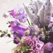 ヒメ日記 2025/08/24 10:57 投稿 カオルコ キャンディ(鹿児島)