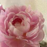 ヒメ日記 2025/08/25 20:09 投稿 カオルコ キャンディ(鹿児島)