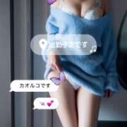 ヒメ日記 2025/12/16 09:05 投稿 カオルコ キャンディ(鹿児島)