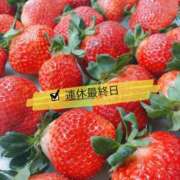 ヒメ日記 2026/01/12 11:30 投稿 カオルコ キャンディ(鹿児島)