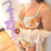 ヒメ日記 2026/06/24 09:20 投稿 カオルコ キャンディ(鹿児島)
