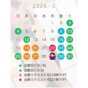 ヒメ日記 2026/01/24 11:40 投稿 くれな すごいエステ池袋店