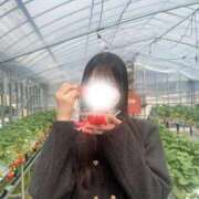 ヒメ日記 2025/05/17 15:54 投稿 ソラノ 煌き -KIRAMEKI-（煌きグループ）