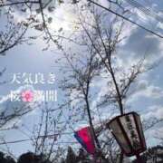 ヒメ日記 2025/03/30 20:05 投稿 うみ 成田人妻花壇