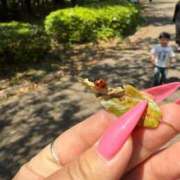 ヒメ日記 2025/04/30 11:45 投稿 うみ 成田人妻花壇