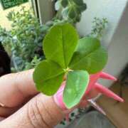 ヒメ日記 2025/05/08 16:23 投稿 うみ 成田人妻花壇