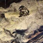 ヒメ日記 2025/07/16 19:30 投稿 うみ 成田人妻花壇