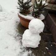 ヒメ日記 2026/02/09 07:47 投稿 うみ 成田人妻花壇