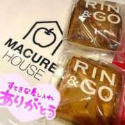 ヒメ日記 2025/03/27 17:39 投稿 すい 恋愛生欲情の扉