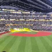 ヒメ日記 2025/09/12 10:49 投稿 すい 恋愛生欲情の扉