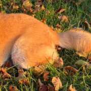 ヒメ日記 2025/10/10 22:29 投稿 すい 恋愛生欲情の扉