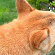 ヒメ日記 2025/10/17 07:49 投稿 すい 恋愛生欲情の扉