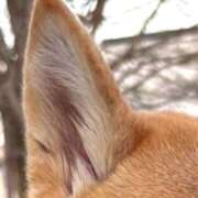 ヒメ日記 2025/10/23 07:49 投稿 すい 恋愛生欲情の扉