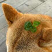 ヒメ日記 2025/11/04 07:59 投稿 すい 恋愛生欲情の扉