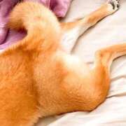 ヒメ日記 2025/11/06 07:39 投稿 すい 恋愛生欲情の扉