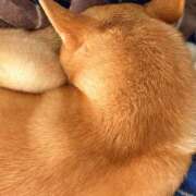 ヒメ日記 2025/11/17 16:19 投稿 すい 恋愛生欲情の扉