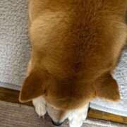 ヒメ日記 2026/04/08 17:09 投稿 すい 恋愛生欲情の扉