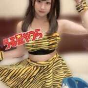 ヒメ日記 2026/02/02 01:39 投稿 もえ【コス好き敏感ビクビク娘】 セクシャル