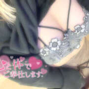 ヒメ日記 2024/12/21 17:09 投稿 はなび【突け！AF！全オプ可】 セクシャル