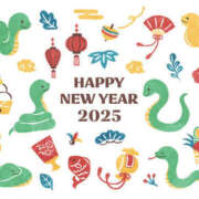 ヒメ日記 2025/01/01 00:09 投稿 はなび【突け！AF！全オプ可】 セクシャル