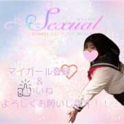 ヒメ日記 2025/01/23 19:59 投稿 はなび【突け！AF！全オプ可】 セクシャル