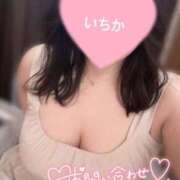 ヒメ日記 2025/09/19 18:57 投稿 いちか ぽっちゃりきぶん