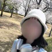 ヒメ日記 2025/04/09 20:33 投稿 せは 小田原人妻城