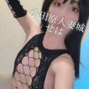 ヒメ日記 2025/04/13 00:18 投稿 せは 小田原人妻城