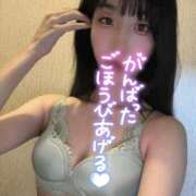 ヒメ日記 2025/04/14 00:33 投稿 せは 小田原人妻城