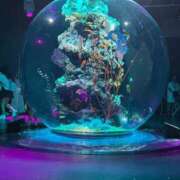 千優(ちひろ) ごめんなさい PLUS難波店