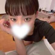 ヒメ日記 2025/07/30 12:28 投稿 めい 極SPA(新大阪)