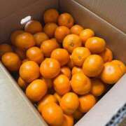 ヒメ日記 2024/12/19 10:53 投稿 柊 素人妻達☆マイふぇらレディー