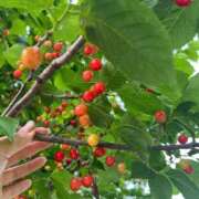 ヒメ日記 2025/05/05 07:43 投稿 柊 素人妻達☆マイふぇらレディー