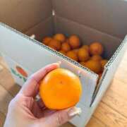 ヒメ日記 2025/12/18 13:32 投稿 柊 素人妻達☆マイふぇらレディー