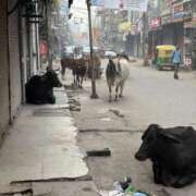 うらら 来年で卒業🌸 クラブ バレンタイン大阪
